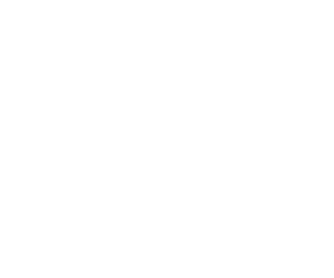 capital_300.png