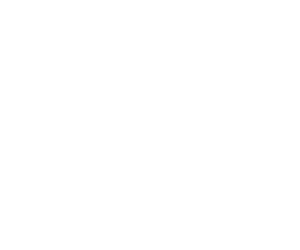 premier_300.png