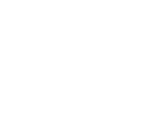 space_300.png