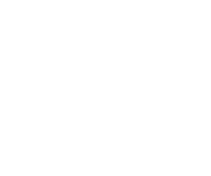 yara_300.png